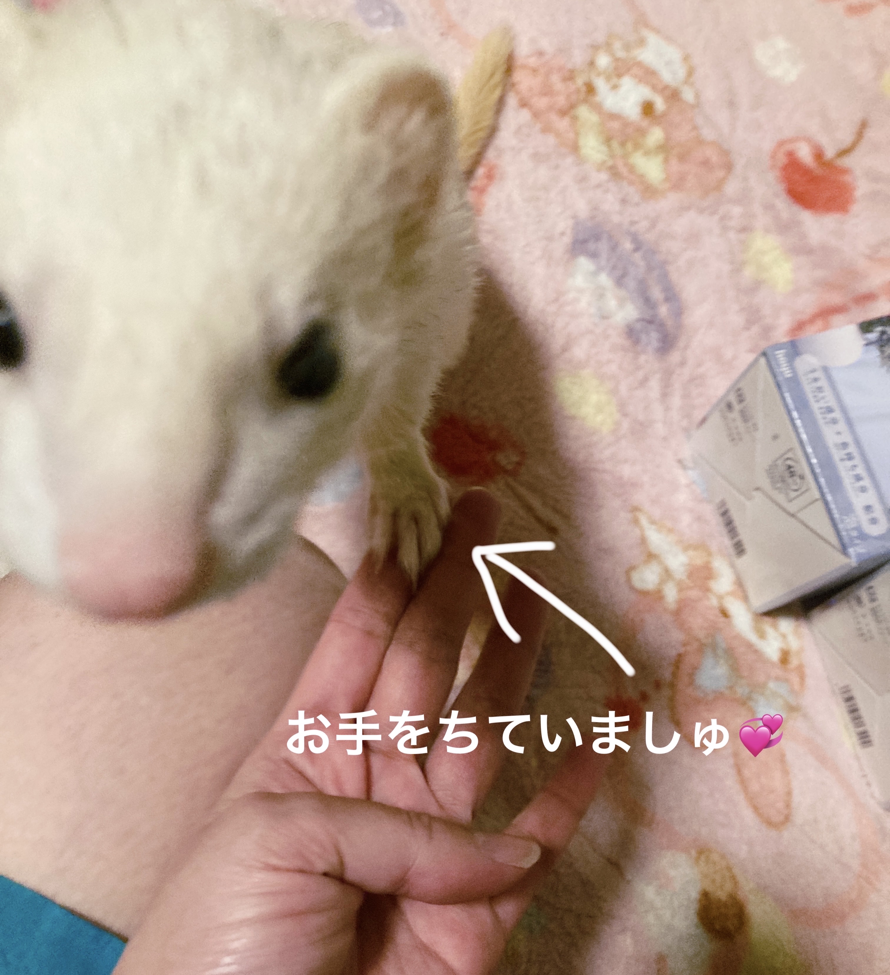 ホイップヘアカラー/ビューティラボ/ヘアカラーを使ったクチコミ（3枚目）