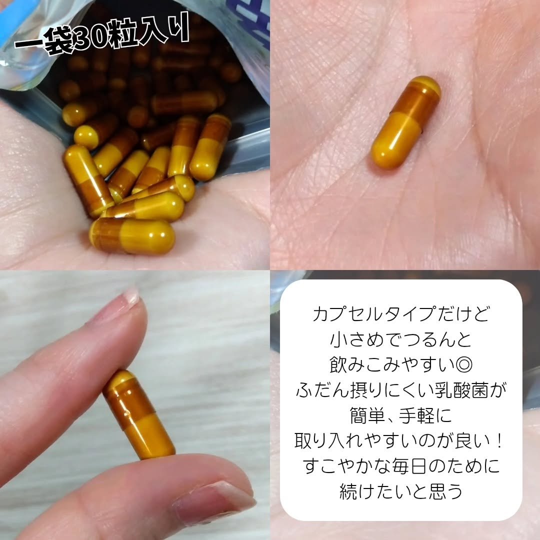 免疫応援酢酸菌/マルマンH＆B/健康サプリメントを使ったクチコミ（3枚目）