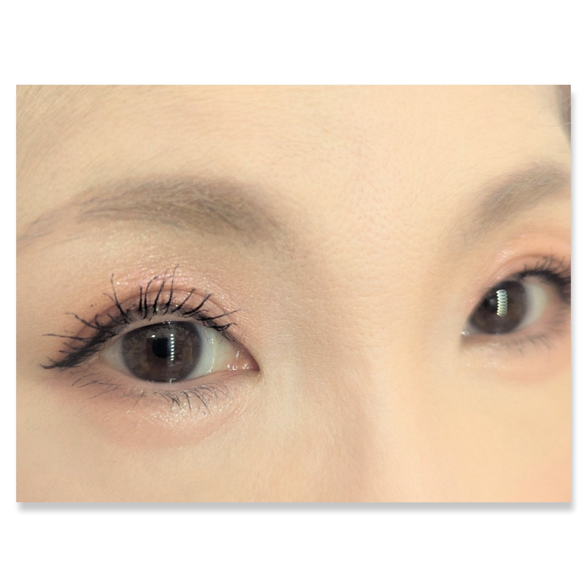 長相思シリーズ 9色アイシャドウパレット/CATKIN/アイシャドウパレットを使ったクチコミ（2枚目）