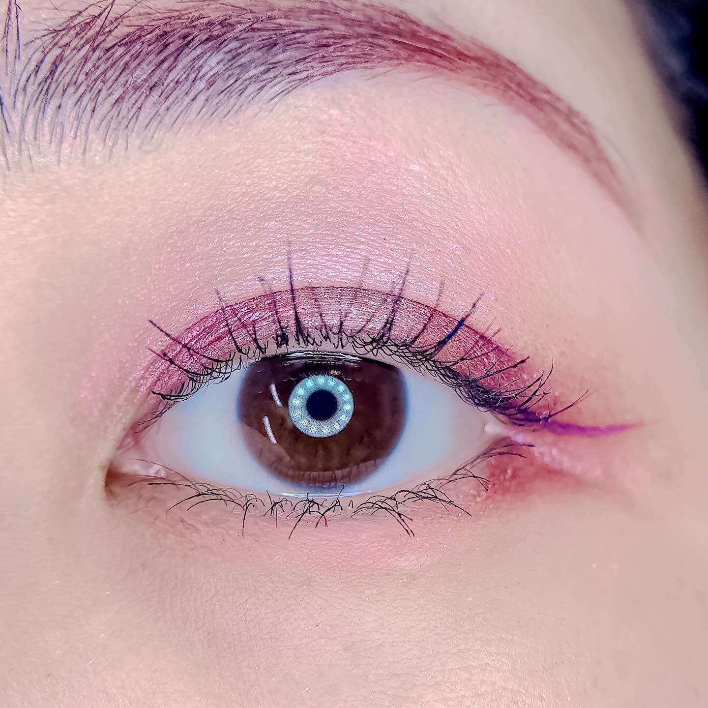 SUQQU メイクアップ キット 舜華/SUQQU/メイクアップキットを使ったクチコミ（3枚目）