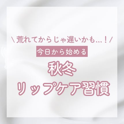 を使ったクチコミ(1枚目)