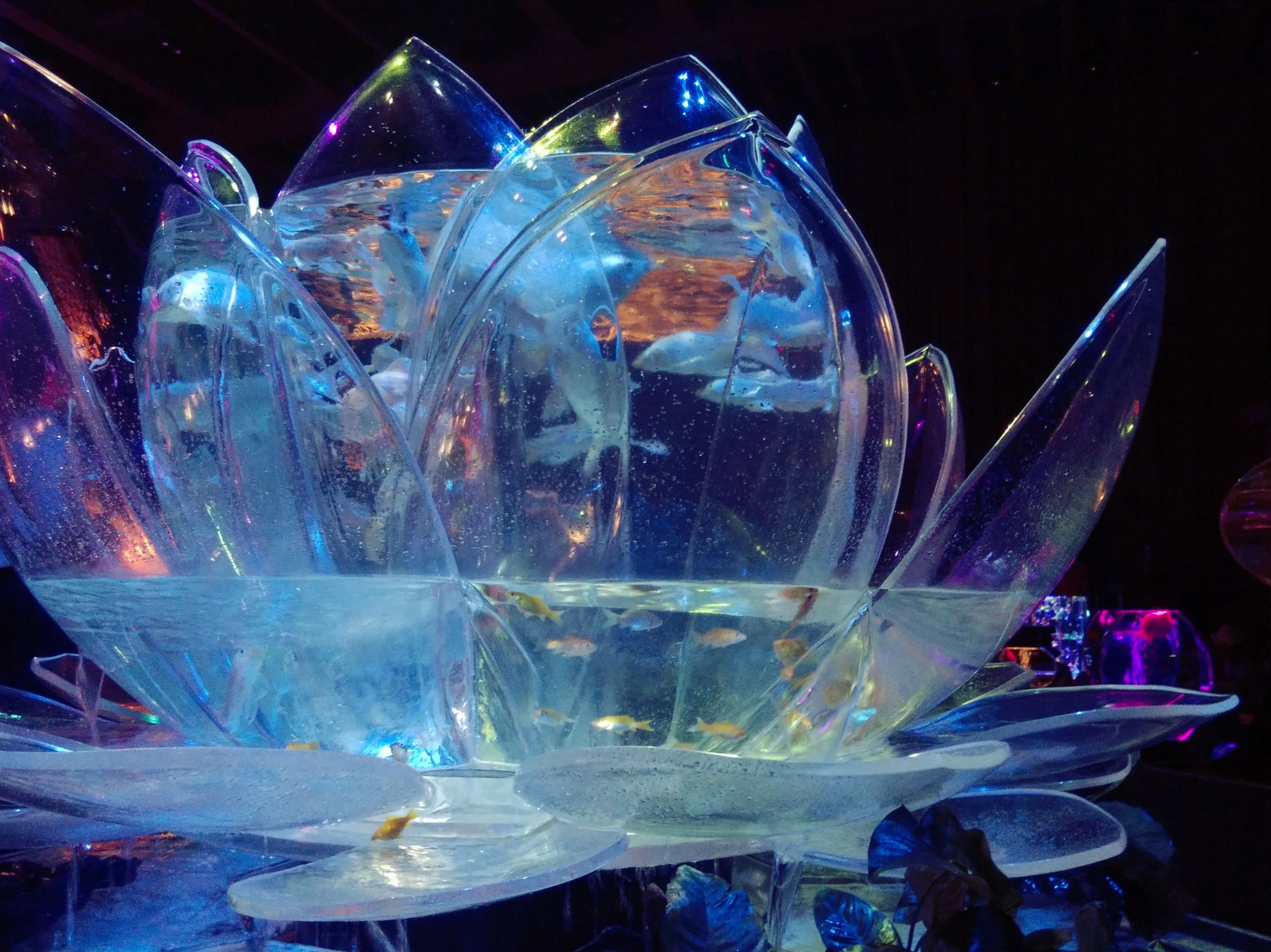 『日本限定』　ヘアーオイル【ピュアナチュラ】/ellips/ヘアオイルを使ったクチコミ（1枚目）