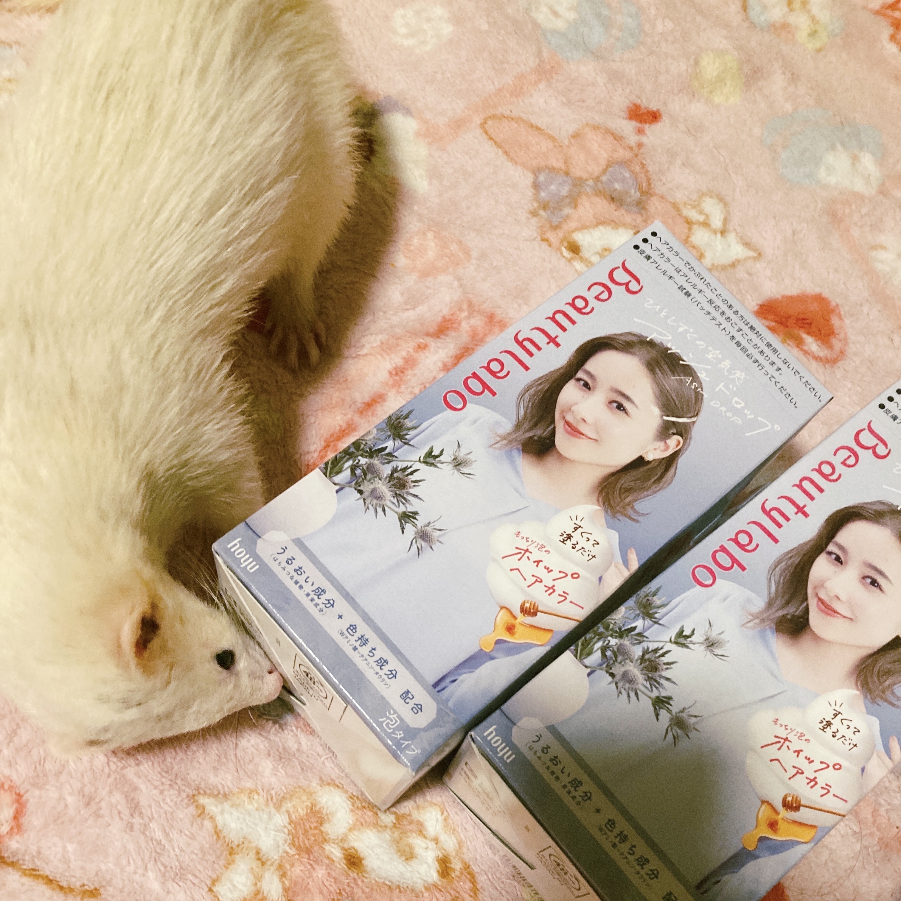 ホイップヘアカラー/ビューティラボ/ヘアカラーを使ったクチコミ（2枚目）