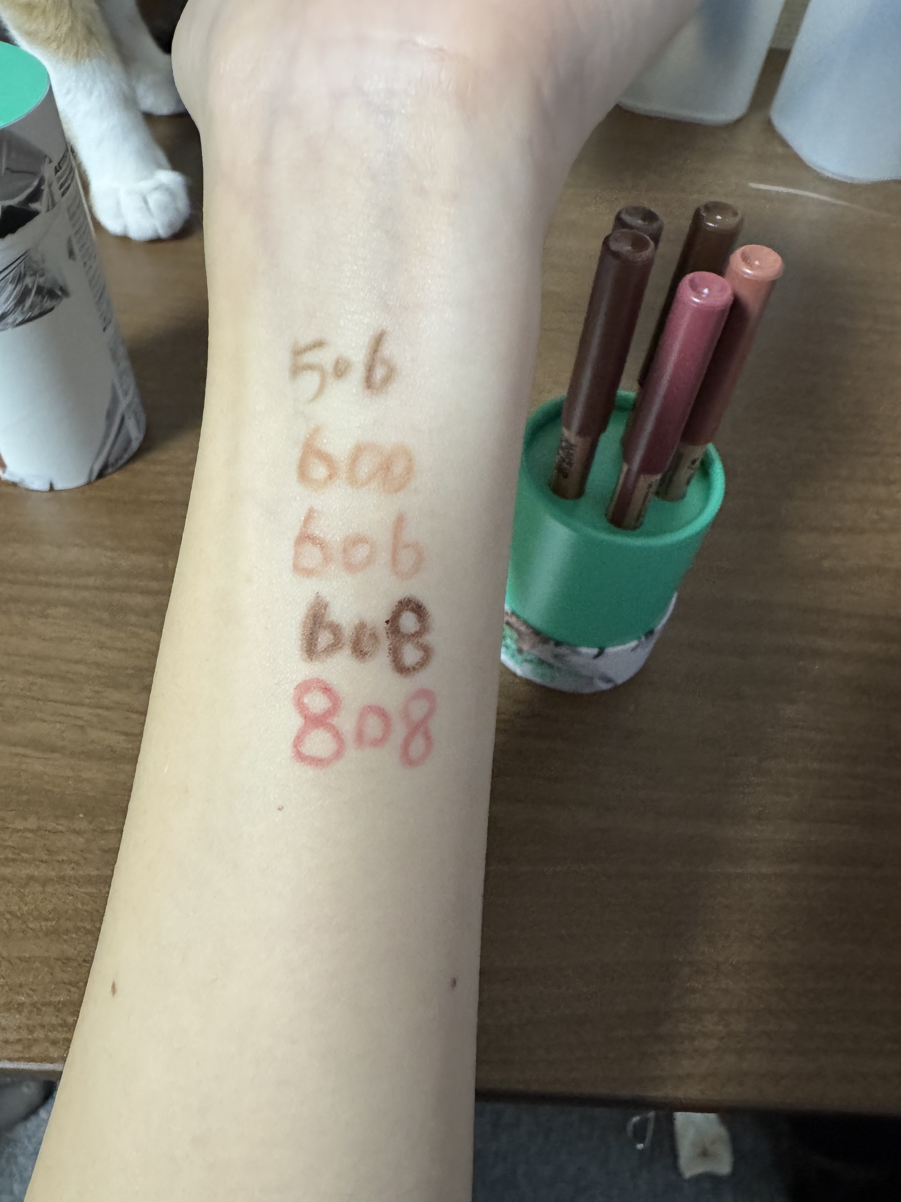 アーティストカラーペンシル ステラー セット/MAKE UP FOR EVER/メイクアップキットを使ったクチコミ（3枚目）