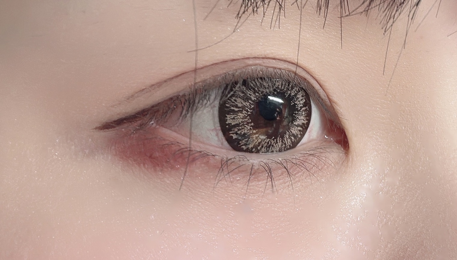 VICTORIA GARDEN 1day/VICTORIA GARDEN/ワンデー（１DAY）カラコンを使ったクチコミ（1枚目）