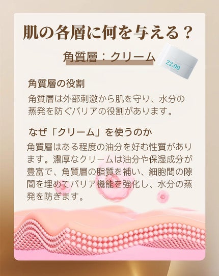 アネトス バランシング トリートメントクリーム/Anetos/フェイスクリームを使ったクチコミ(2枚目)