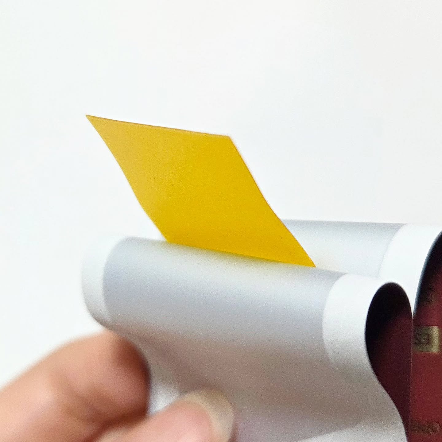 ヨエスターGLTダイレクトウルトラX/ESTHER FORMULA/美容サプリメントを使ったクチコミ（3枚目）