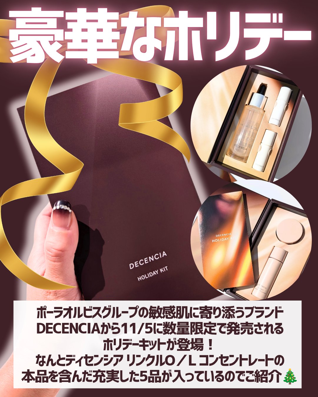 ディセンシア ホリデーキット/DECENCIA/スキンケアキットを使ったクチコミ（2枚目）