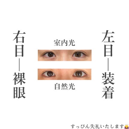 MOLAK 1day トゥインクルブラウン/MOLAK/ワンデー(1DAY)カラコンの画像