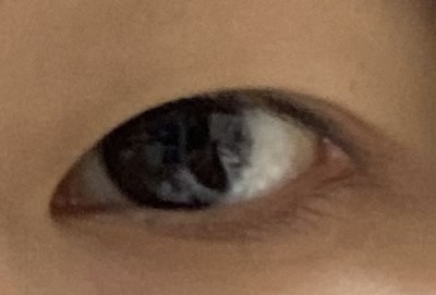 ハッシュシリーズ ハッシュグレー/LENSSIS/カラーコンタクトレンズを使ったクチコミ（1枚目）