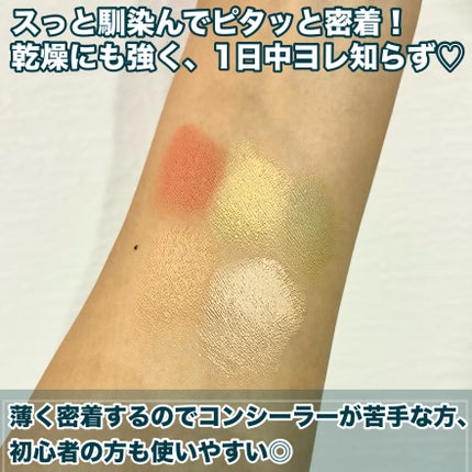 コンシールブレンダーパレット/LUNA/パレットコンシーラーを使ったクチコミ(4枚目)