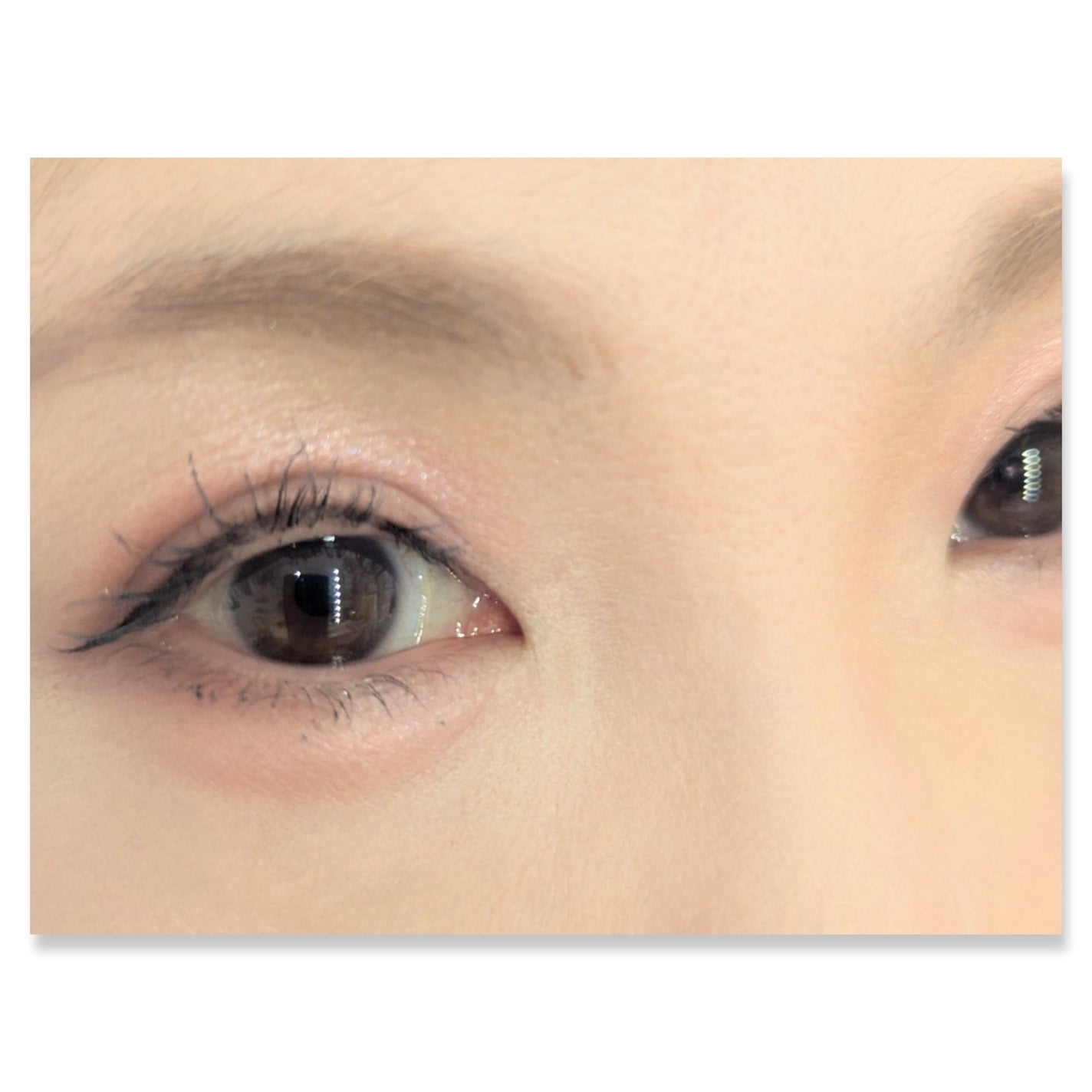 プティパレットアイズ/キャンメイク/パウダーアイシャドウを使ったクチコミ(2枚目)