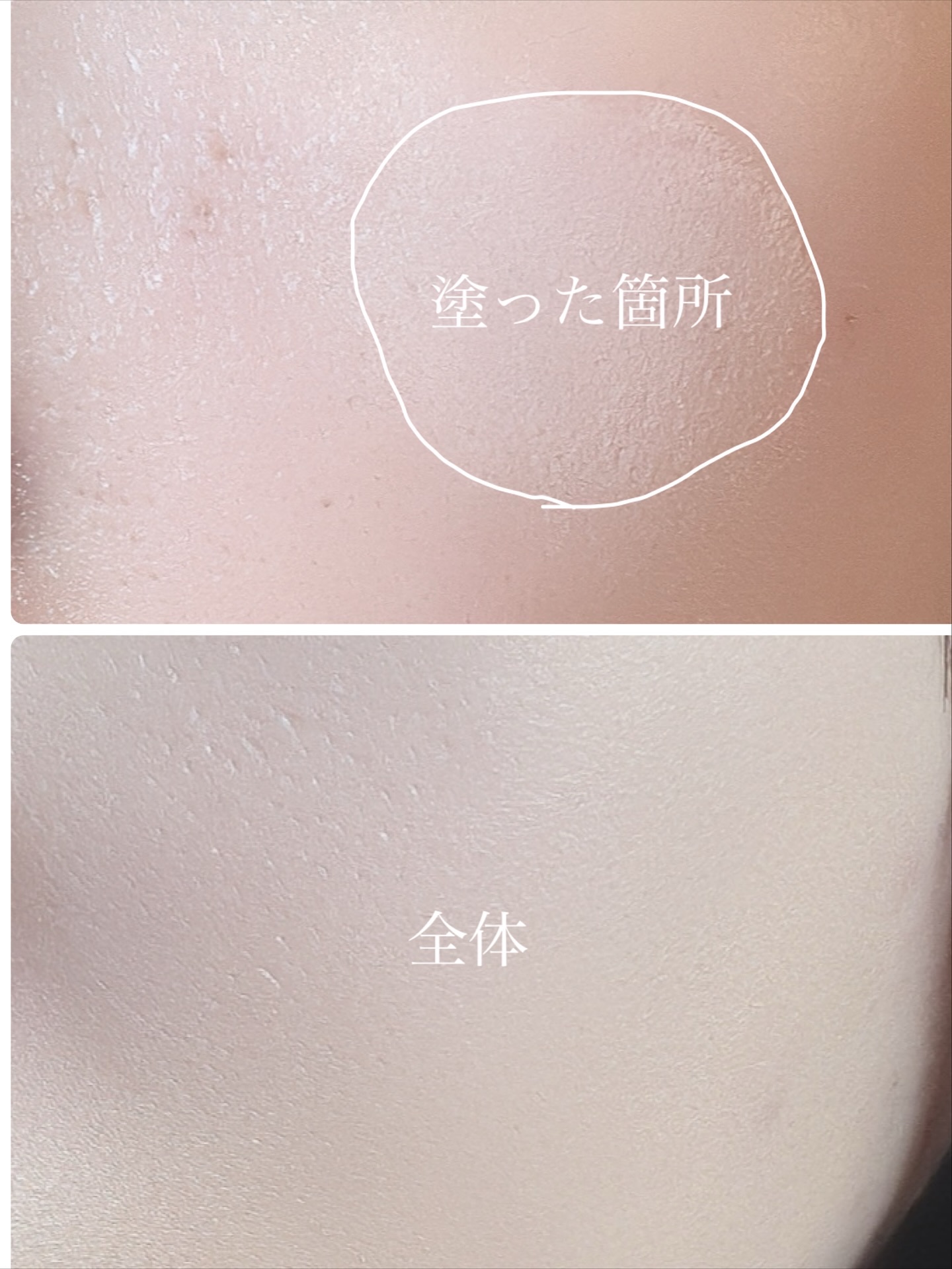 ビーベルベットカバークッション/espoir/クッションファンデーションを使ったクチコミ（3枚目）