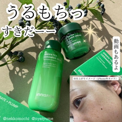 グリーンティー セラミド バリア クリーム/innisfree/フェイスクリームを使ったクチコミ(1枚目)
