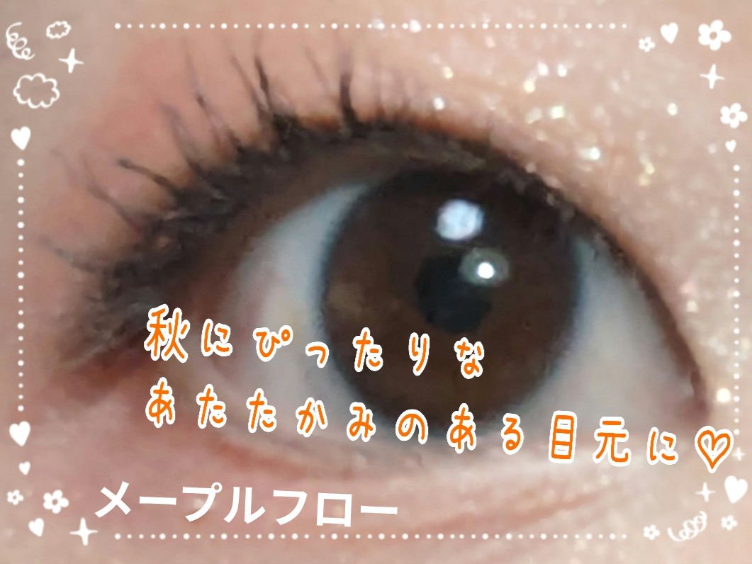 キス ズームアイポーション/KiSS/アイシャドウパレットを使ったクチコミ（3枚目）