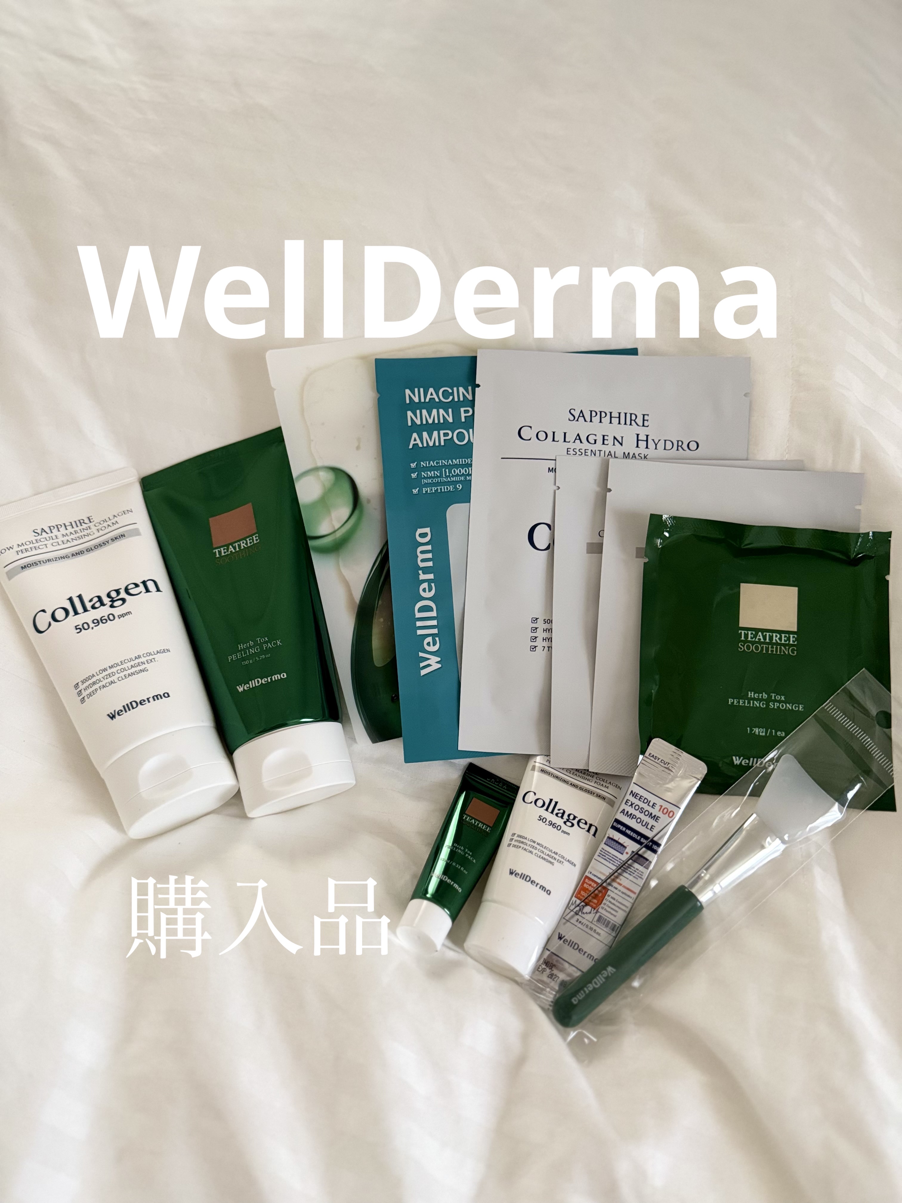ティーツリーハーブピーリングパック/WellDerma/洗い流すパック・マスクを使ったクチコミ（1枚目）