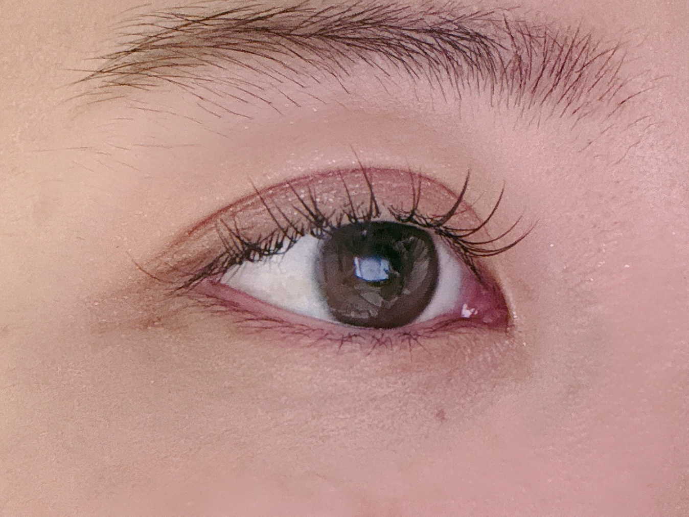 2025 ホリデーコフレ/エトヴォス/メイクアップキットを使ったクチコミ（1枚目）