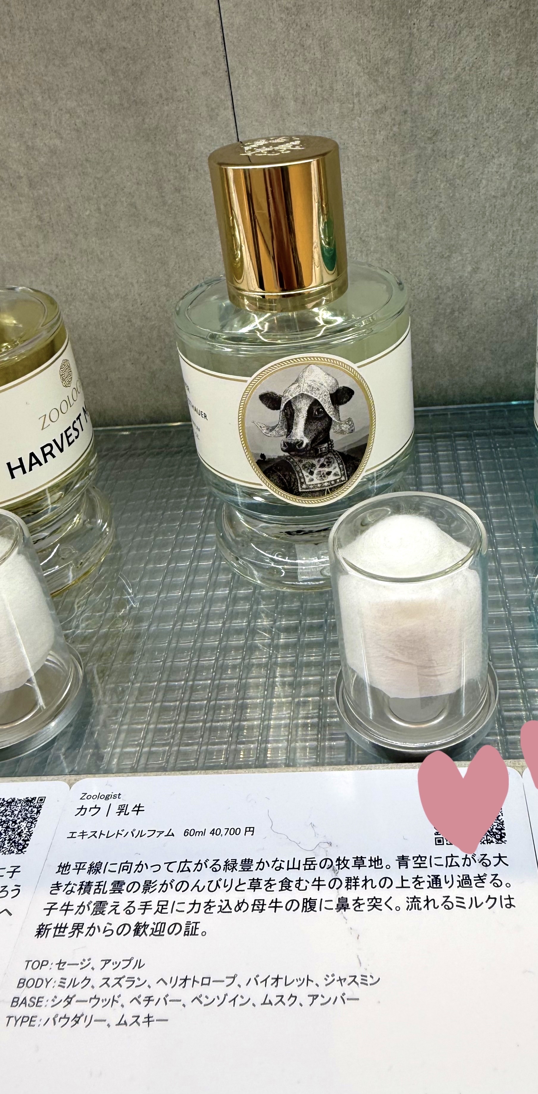 Zoologist Cow ズーロジスト カウ 試してみた】カウ｜乳牛 Zoologistのリアルな口コミ・レビュー | LIPS