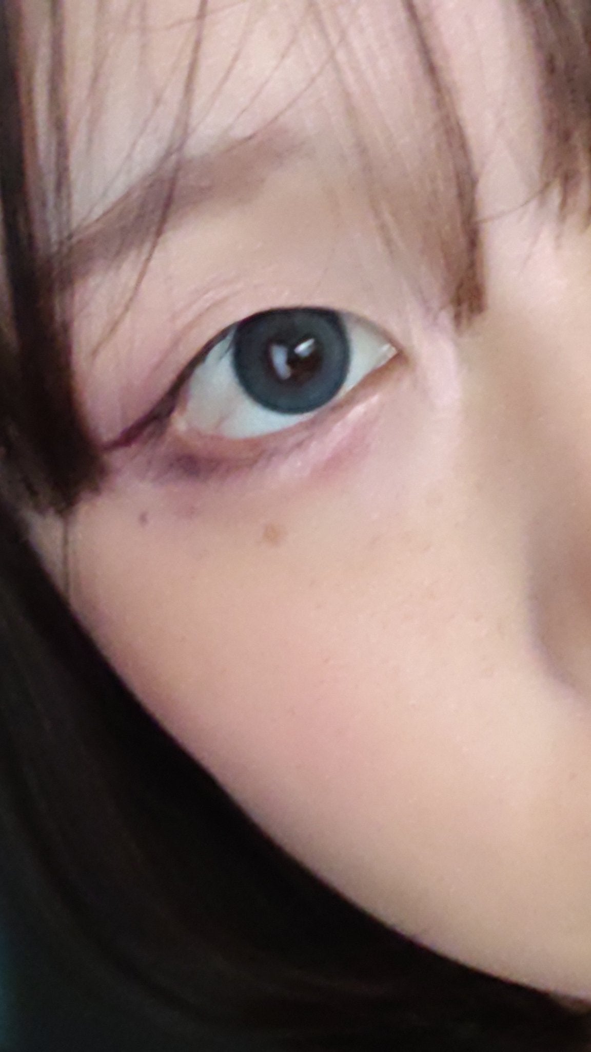 Angelcolor Bambi Series 1day /AngelColor/ワンデー(1DAY)カラコンを使ったクチコミ(3枚目)