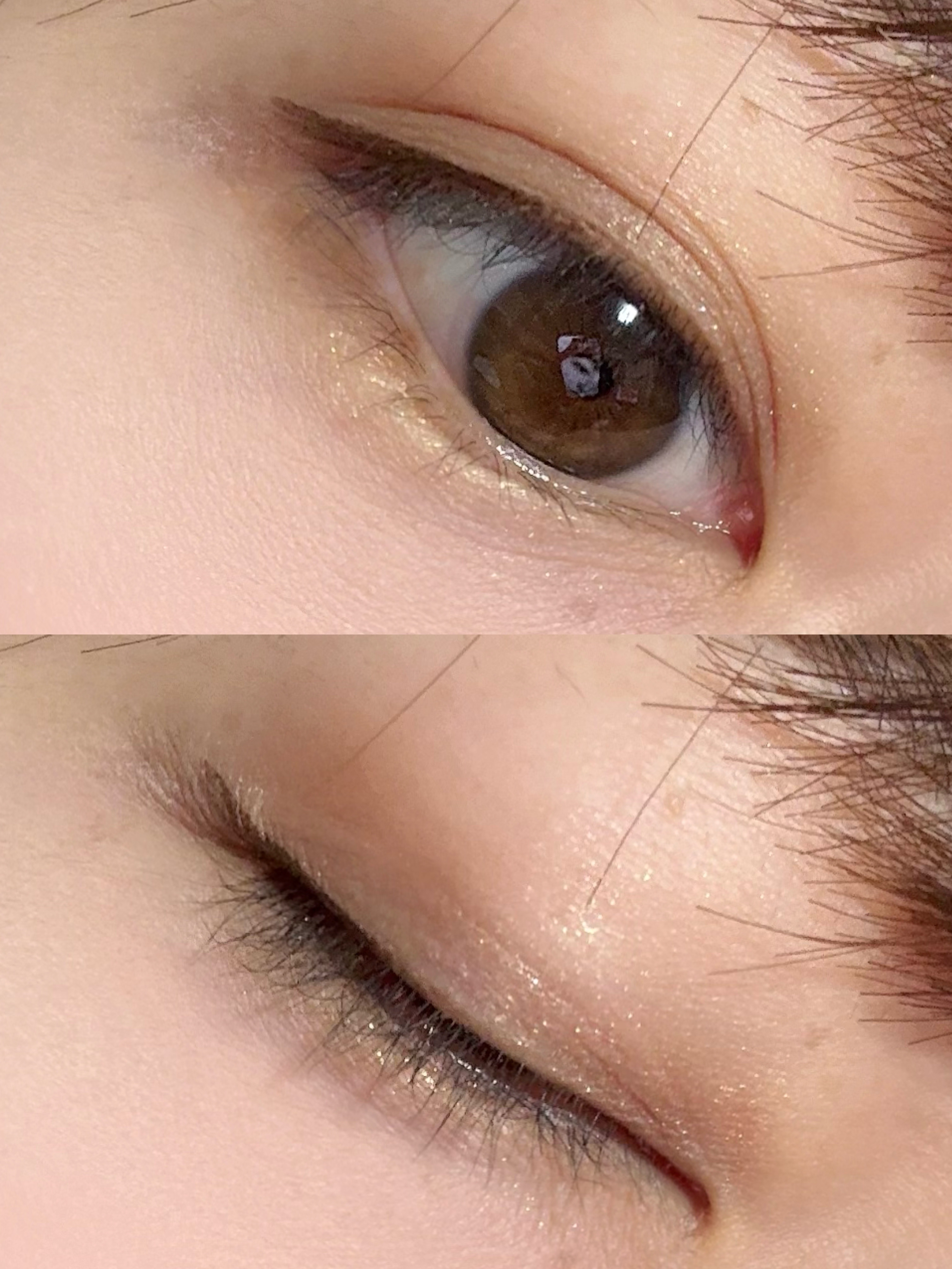 エレガンス ヌーヴェル アイズ 37/Elégance/アイシャドウパレットを使ったクチコミ（2枚目）