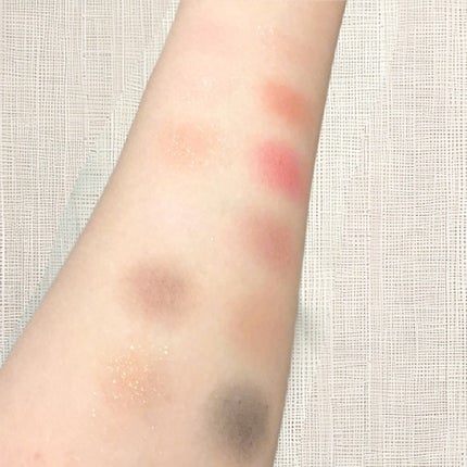 エクスプローラ12色 動物アイシャドウパレット/PERFECT DIARY/アイシャドウパレットを使ったクチコミ(2枚目)