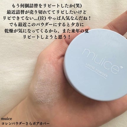 リシェ アイブロウペンシルS/Visée/アイブロウペンシルを使ったクチコミ(4枚目)