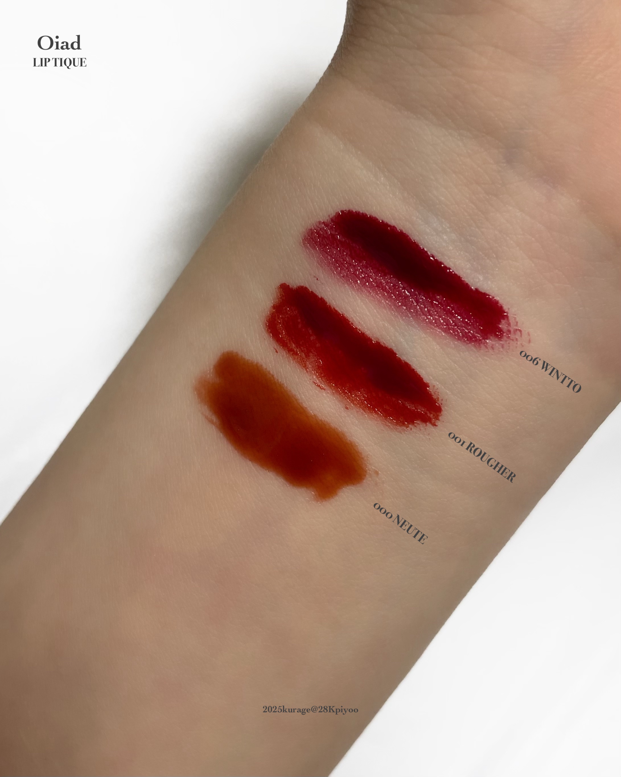 リップティーク/oiad/口紅を使ったクチコミ（3枚目）