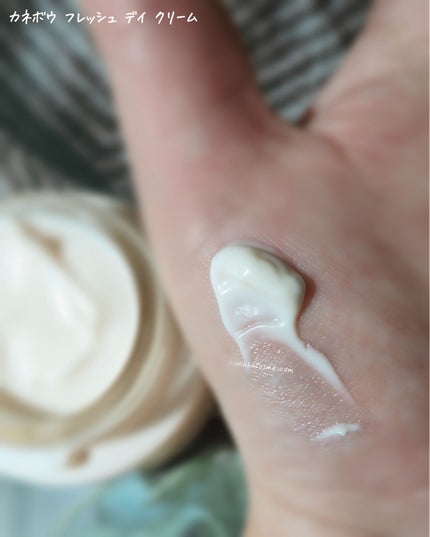 カネボウ フレッシュ デイ クリーム/KANEBO/化粧下地を使ったクチコミ(4枚目)