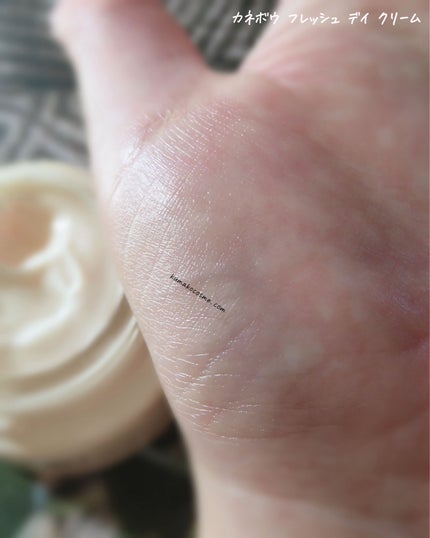カネボウ フレッシュ デイ クリーム/KANEBO/化粧下地を使ったクチコミ(6枚目)