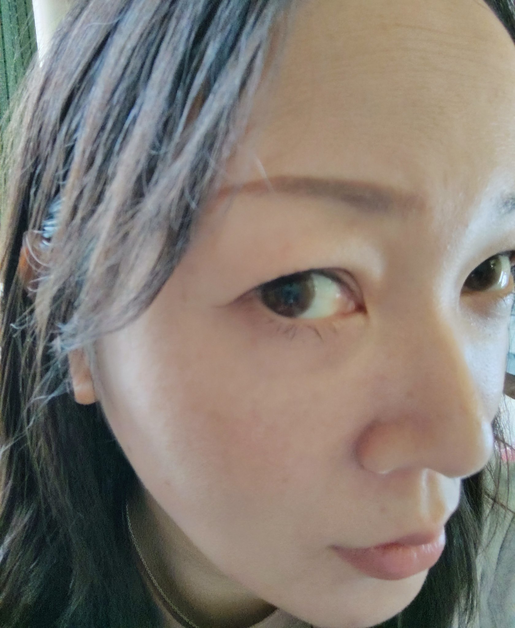 Angelcolor Bambi Series Vintage 1day/AngelColor/ワンデー（１DAY）カラコンを使ったクチコミ（2枚目）