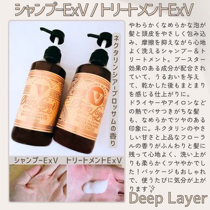 ディープレイヤー シャンプーExV/トリートメントExV 【プロフェッショナルユース】/DeepLayer/サロンシャンプーを使ったクチコミ(2枚目)