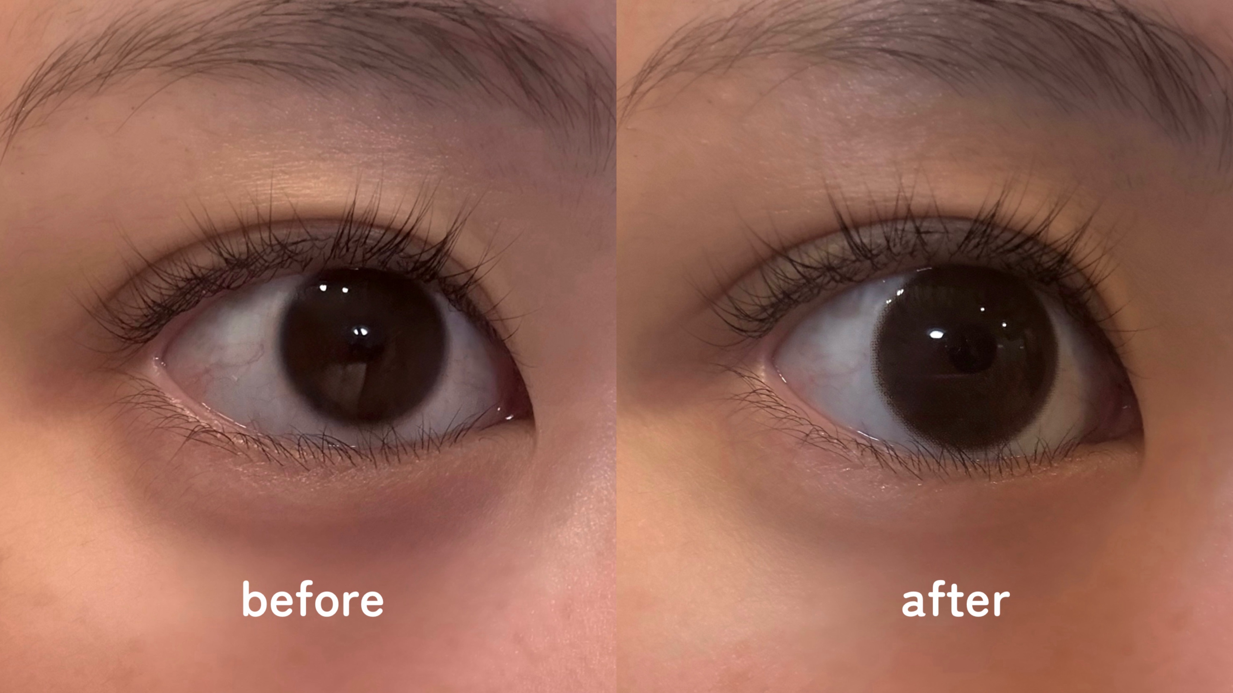 LARME NATURAL  SERIES/LARME/カラーコンタクトレンズを使ったクチコミ（1枚目）