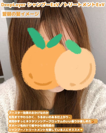 ディープレイヤー シャンプーExV/トリートメントExV 【プロフェッショナルユース】/DeepLayer/サロンシャンプーを使ったクチコミ(4枚目)