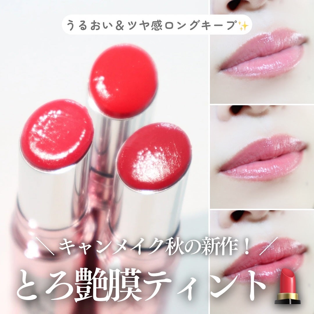 ラスターヴェールルージュ/キャンメイク/口紅を使ったクチコミ(1枚目)