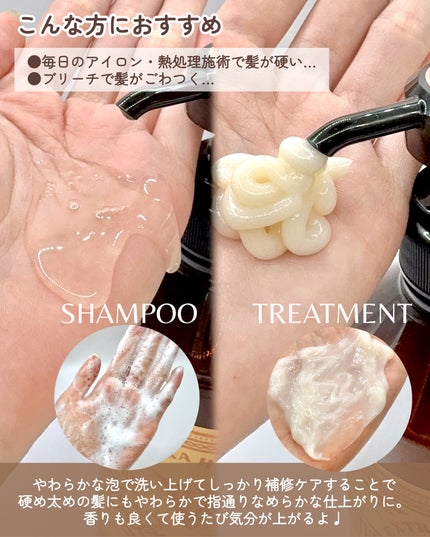 ディープレイヤー シャンプーExV/トリートメントExV 【プロフェッショナルユース】 トリートメント(470g)/DeepLayer/サロンシャンプーを使ったクチコミ(3枚目)