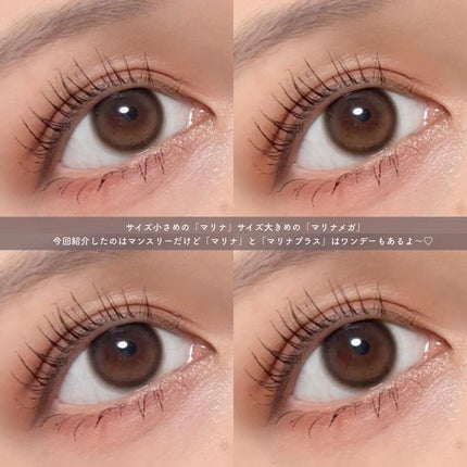 マリナシリーズ マリナプラスブラウン/LENSSIS/カラーコンタクトレンズの画像