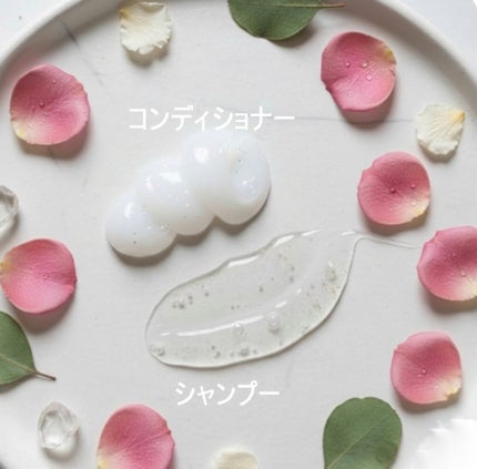 Pelo Rico ペロリコ シャンプー/コンディショナーのクチコミ「PeloRico
シャンプー
コンディショナー
医療機関の毛髪治療の考えにもとずいた、成分設.....」(2枚目)