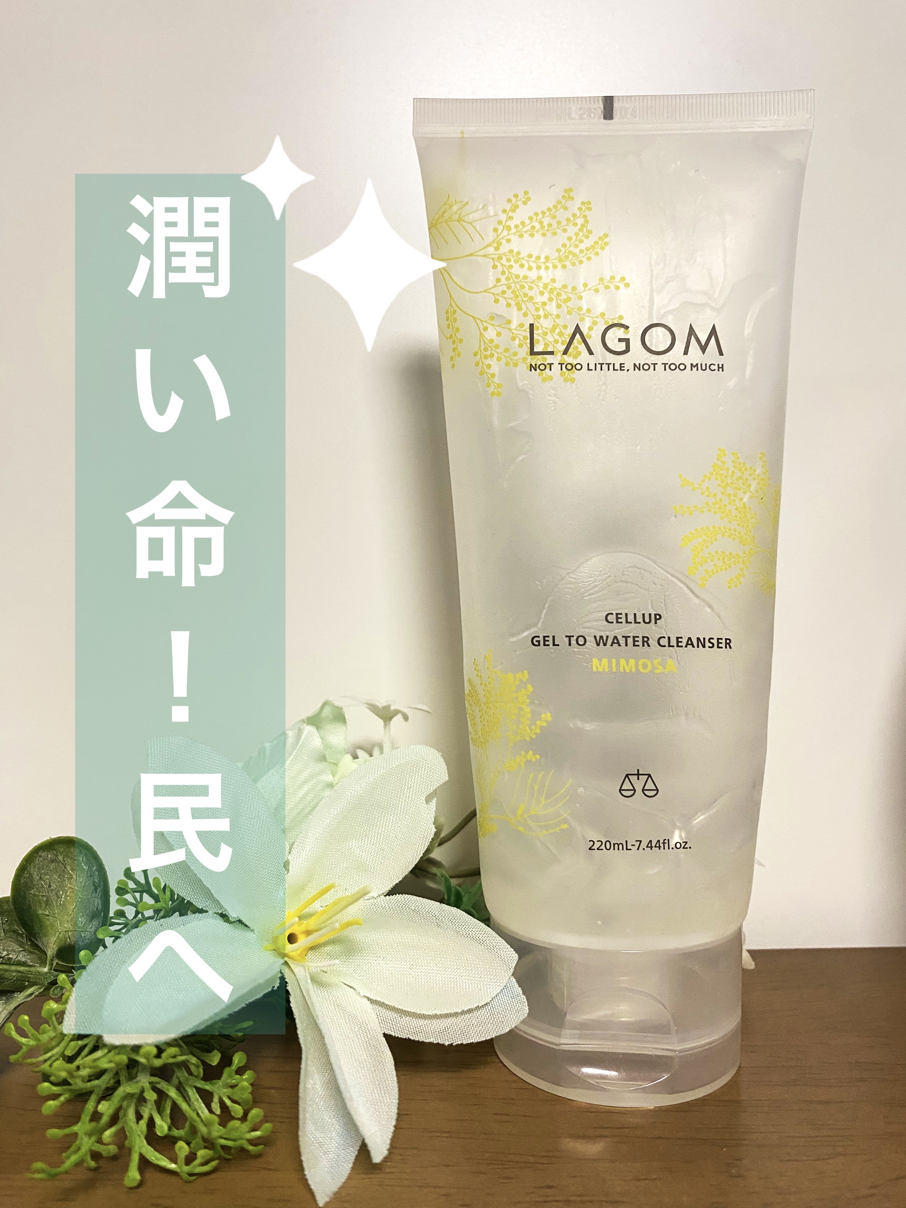 ジェルトゥウォーター クレンザー (MI) 2025（220mL）/LAGOM /その他洗顔料を使ったクチコミ（1枚目）