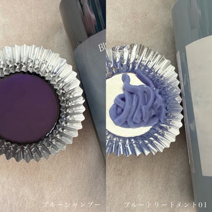 ブルーグロスシャンプー/トリートメント トリートメント 01〈普通~太い髪用〉 380g/rasica/市販シャンプーを使ったクチコミ(2枚目)