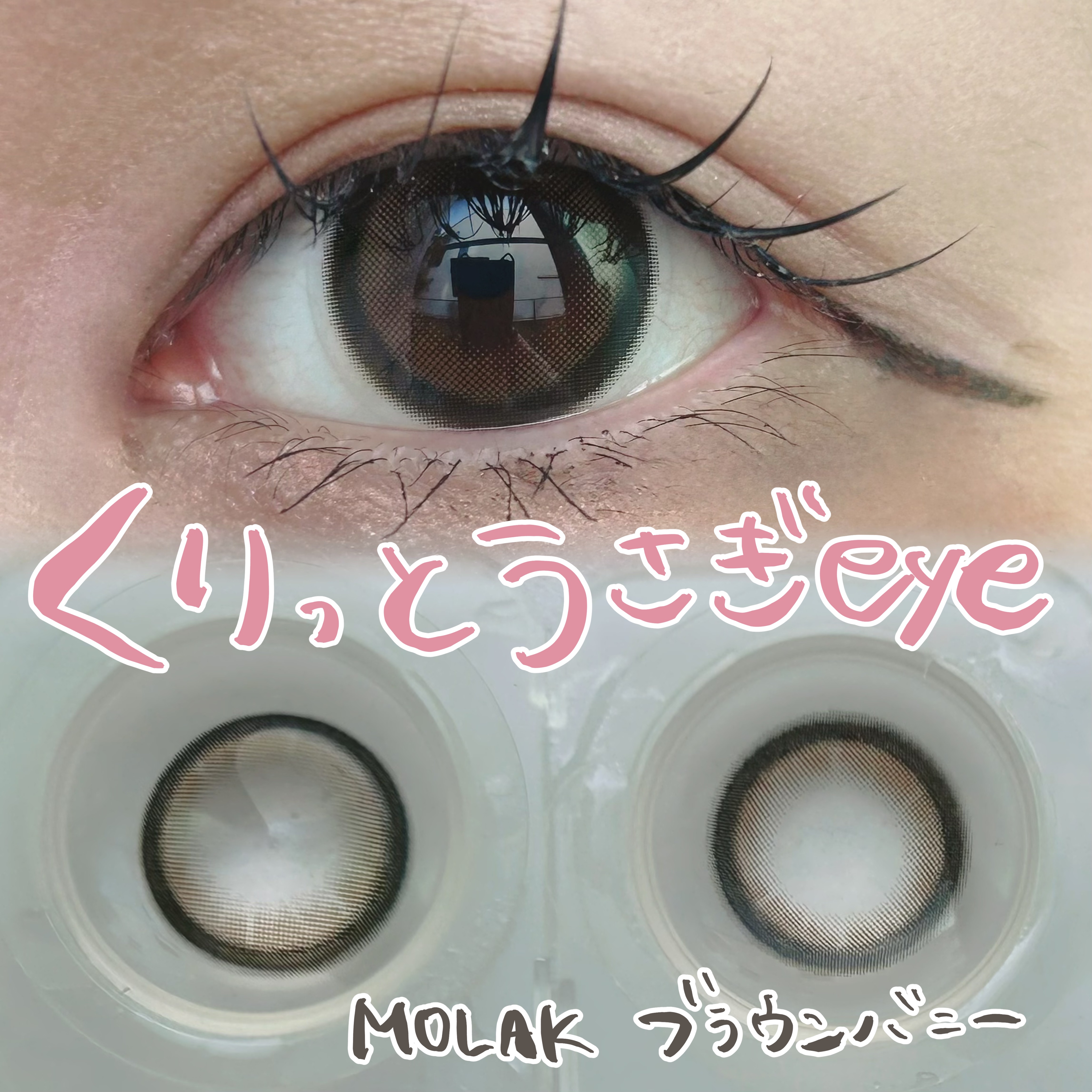 MOLAK 1day ブラウンバニー/MOLAK/ワンデー（１DAY）カラコンを使ったクチコミ（1枚目）