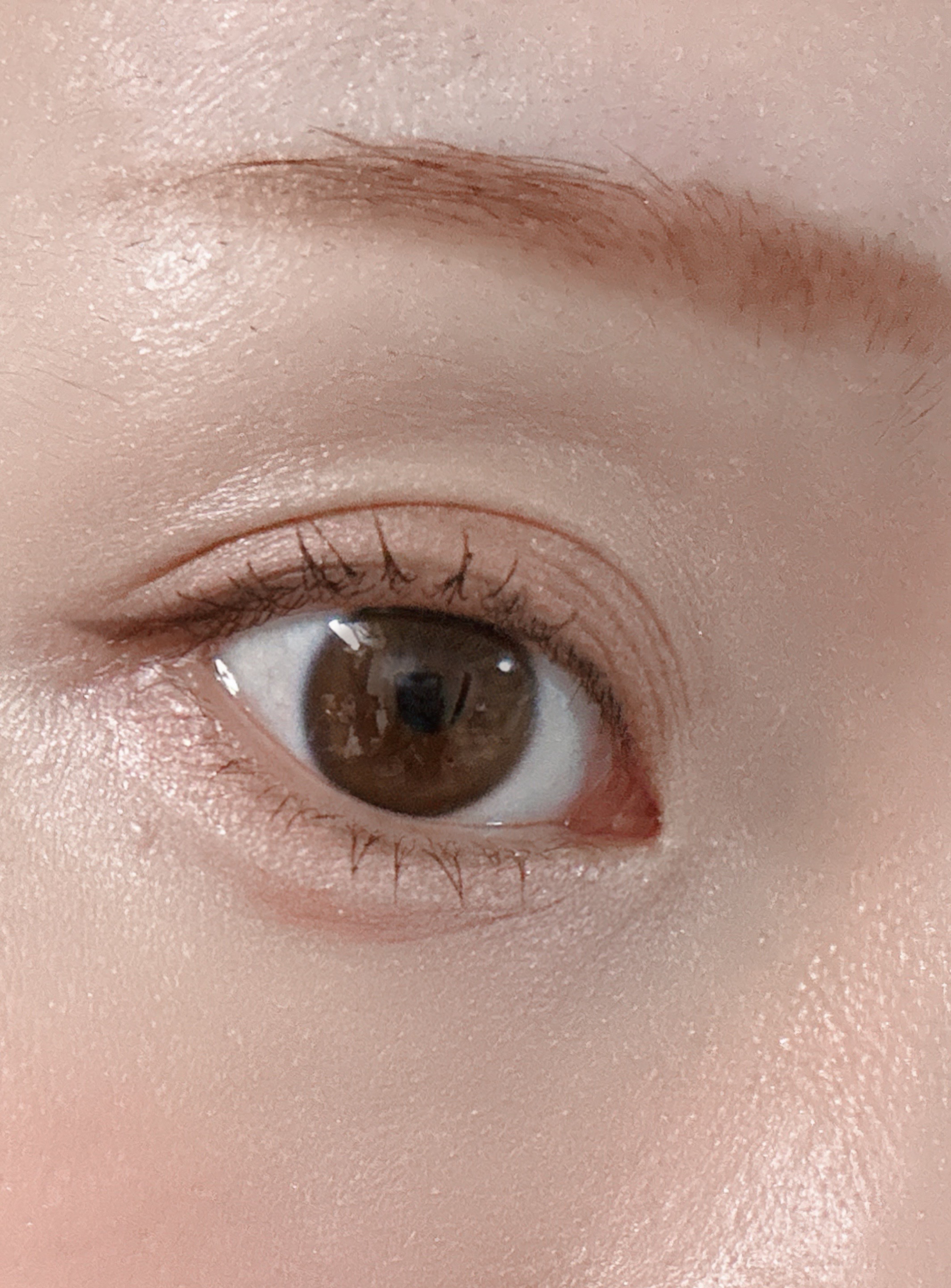 プランぷくコーデアイズNeo/キャンメイク/アイシャドウを使ったクチコミ（3枚目）