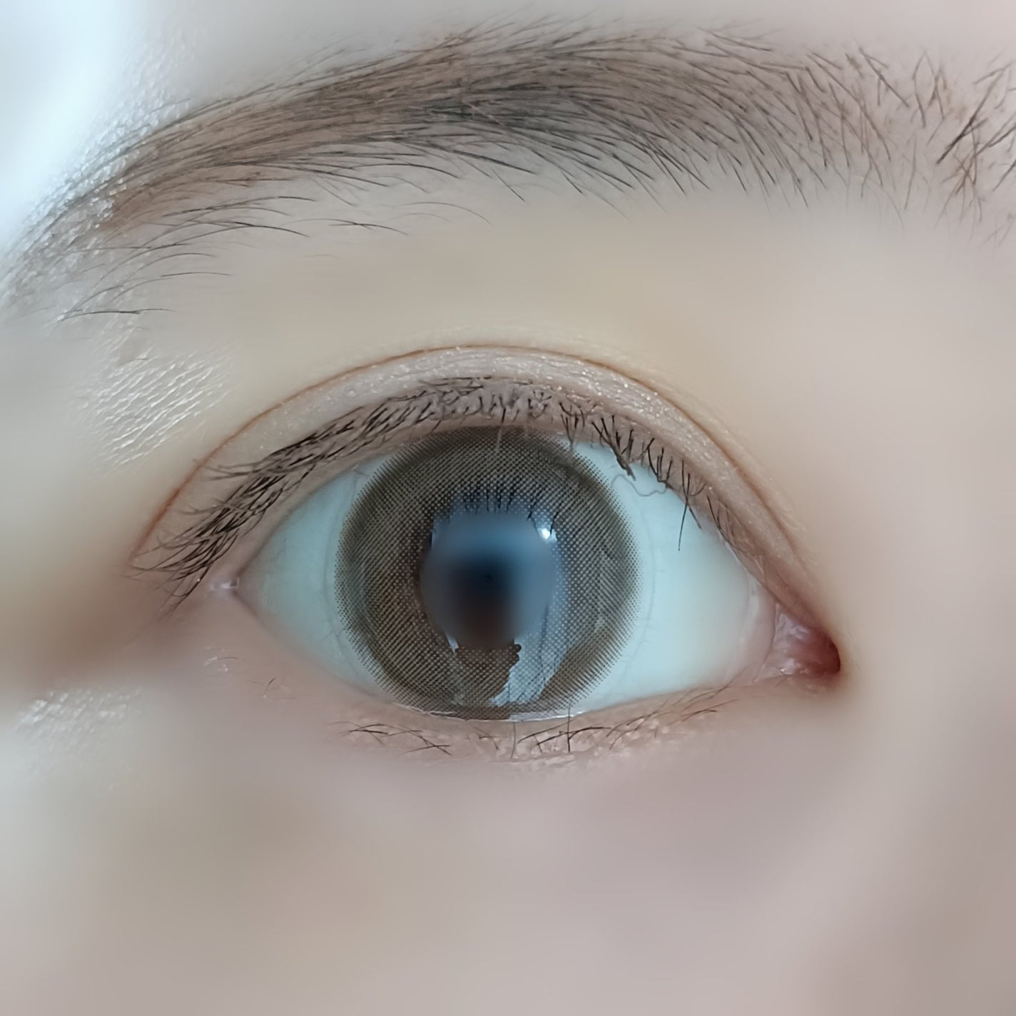 eye closet 1DAY/EYE CLOSET/ワンデー(1DAY)カラコンを使ったクチコミ(5枚目)