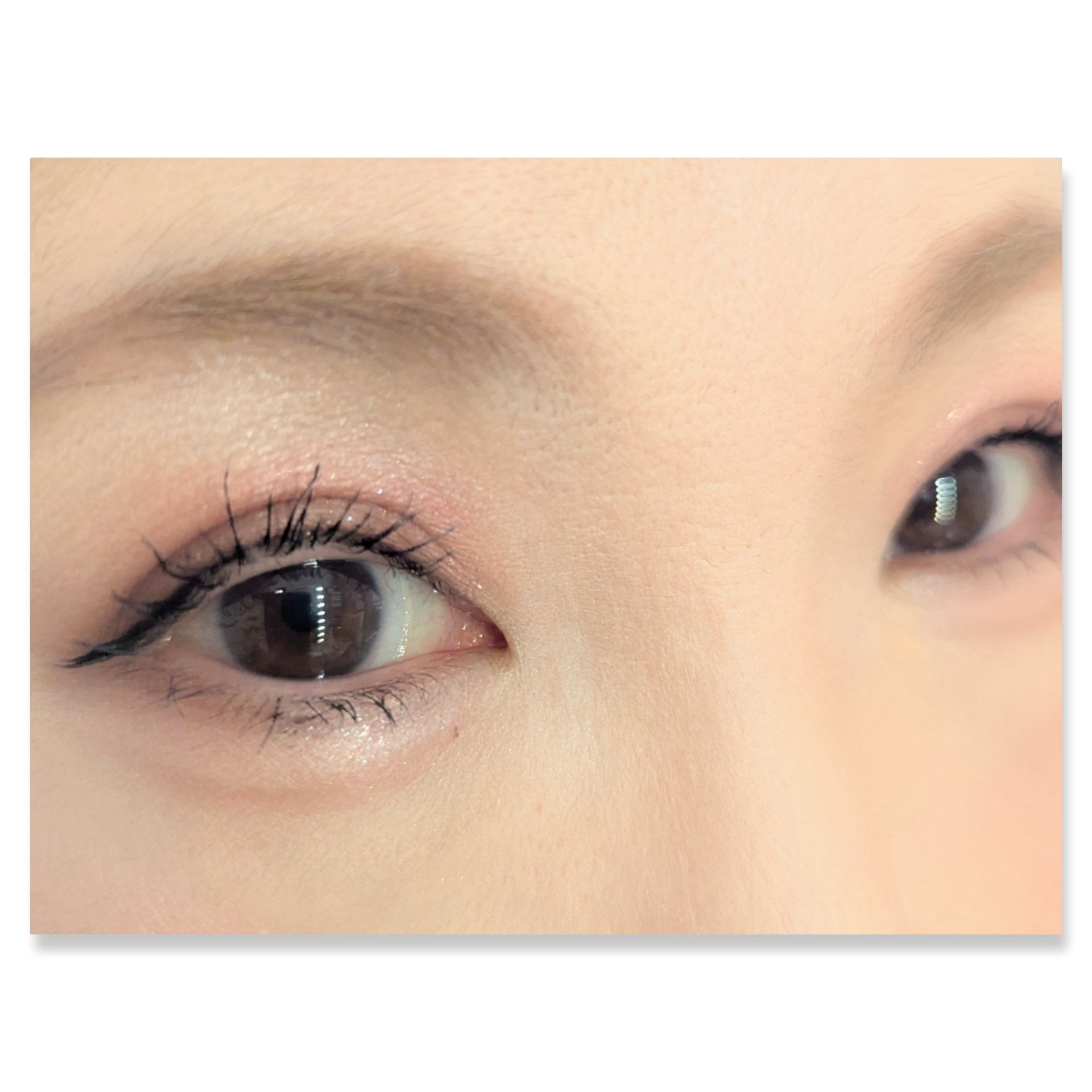 シルキースフレアイズ/キャンメイク/アイシャドウパレットを使ったクチコミ（2枚目）