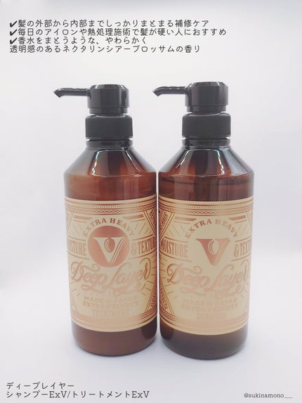 ディープレイヤー シャンプーExV/トリートメントExV 【プロフェッショナルユース】/DeepLayer/サロンシャンプーを使ったクチコミ(2枚目)