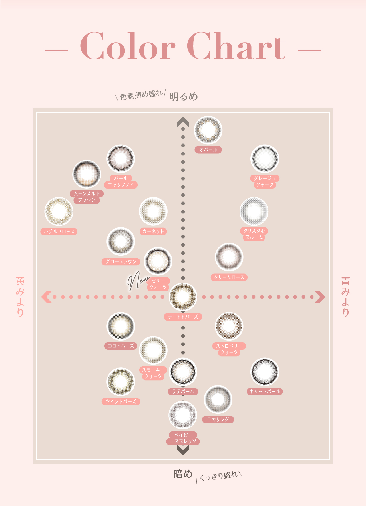 TOPARDS 1day TOPARDS