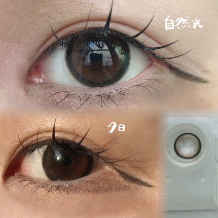 MOLAK 1day/MOLAK/ワンデー(1DAY)カラコンを使ったクチコミ(2枚目)