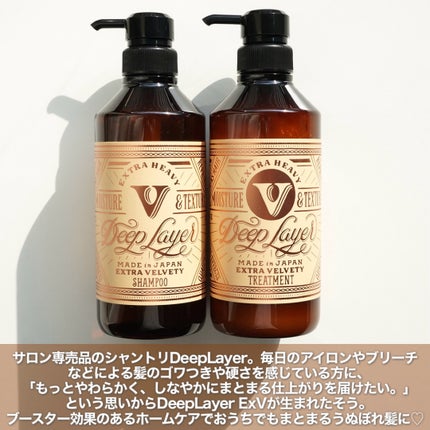 ディープレイヤー シャンプーExV/トリートメントExV 【プロフェッショナルユース】/DeepLayer/サロンシャンプーを使ったクチコミ(2枚目)