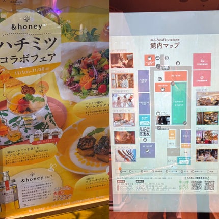 ディープモイスト シャンプー1.0/ヘアトリートメント2.0/&honey/市販シャンプーを使ったクチコミ(6枚目)