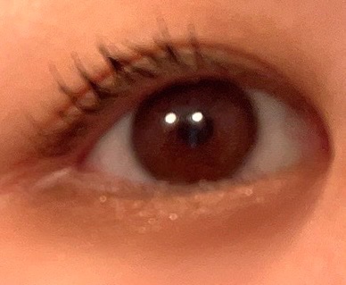 ムードアイズシャドウパレット/INGA/アイシャドウパレットを使ったクチコミ（3枚目）