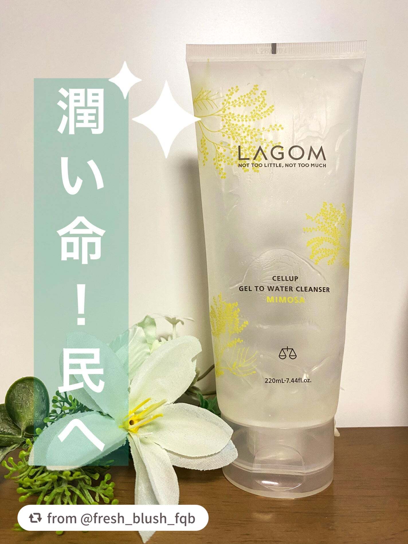 LIPSベスコス1位受賞*👑

ブランド内でも人気が高い洗顔料！ジェルがみるみる水のようなテクスチャーに変化🌟
クリアな心地よさとともに洗う朝洗顔！
肌の水分保持力に着目した成分「アクアリシア(AQUALICIA)*1」配合で、洗顔後の